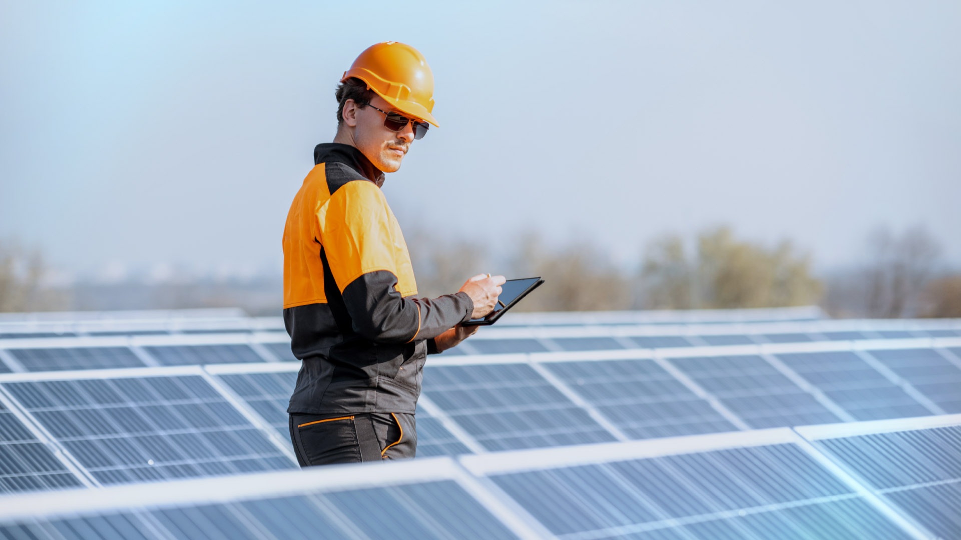 bando agrivoltaico