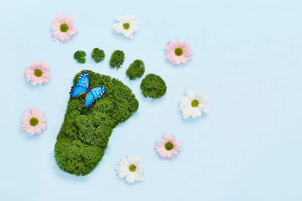 Ridurre la carboon footprint aziendale