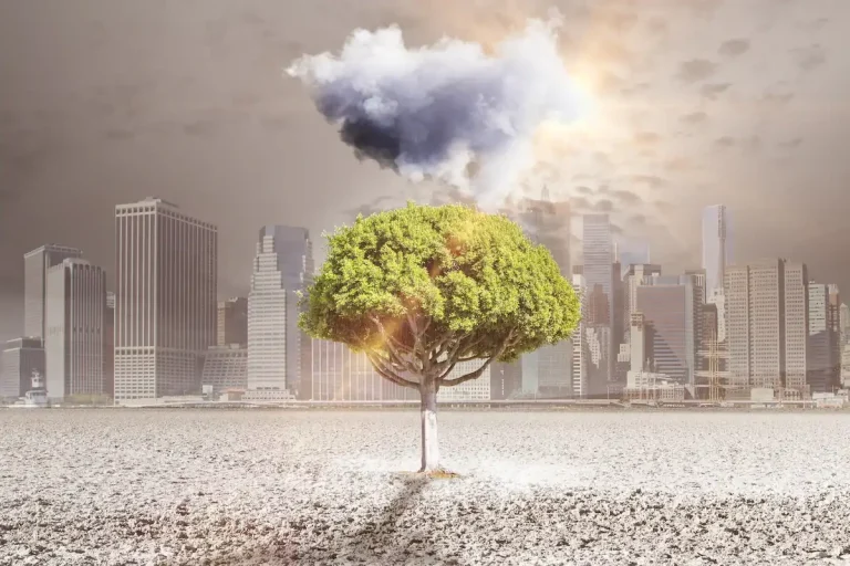 Carbon Footprint di organizzazione