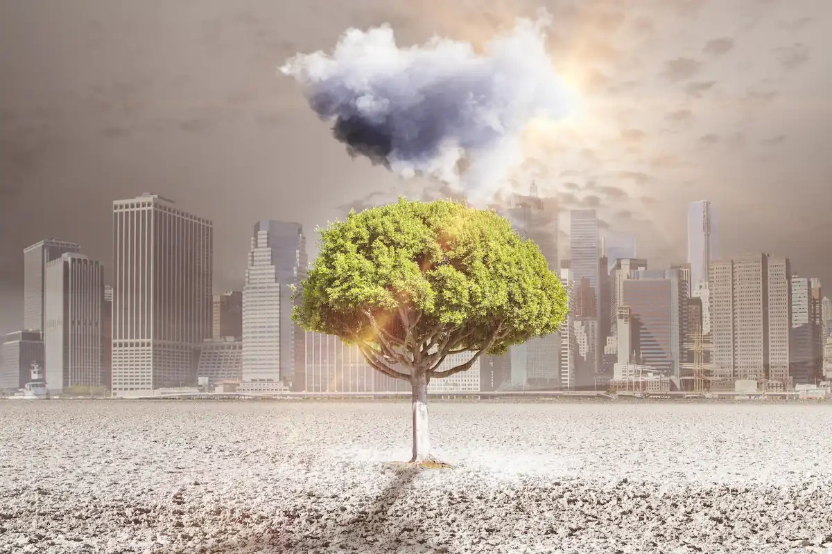 Carbon Footprint di organizzazione