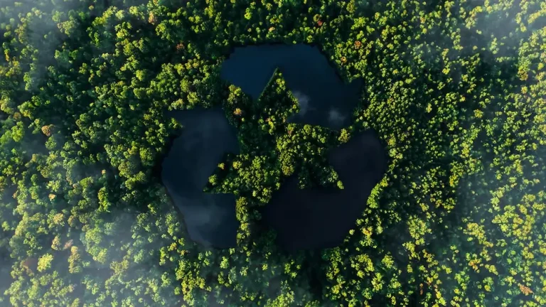 Garanzie d'origine e carbon credits