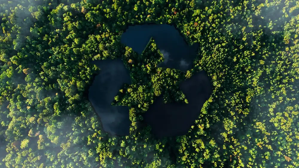 Garanzie d'origine e carbon credits